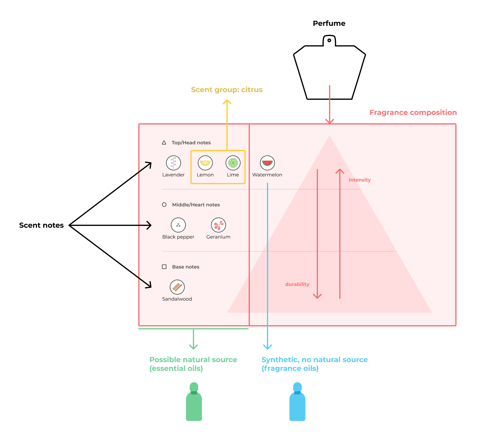 perfume composition.png